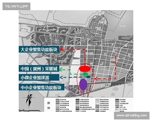 国际化体育机构加速聚集 产业链全球资源配置能力提升